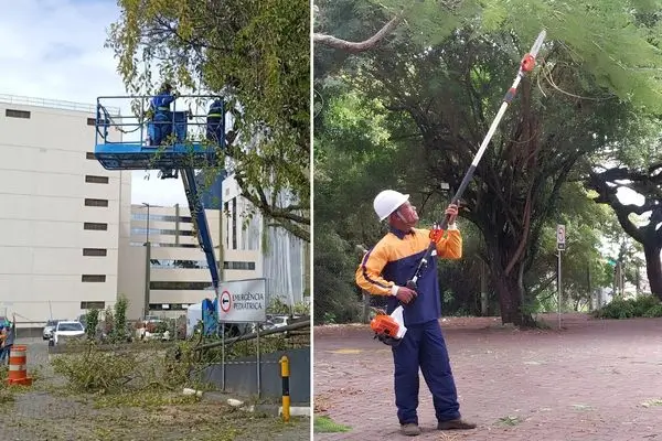Equipe Bella Soverde em um projeto de paisagismo